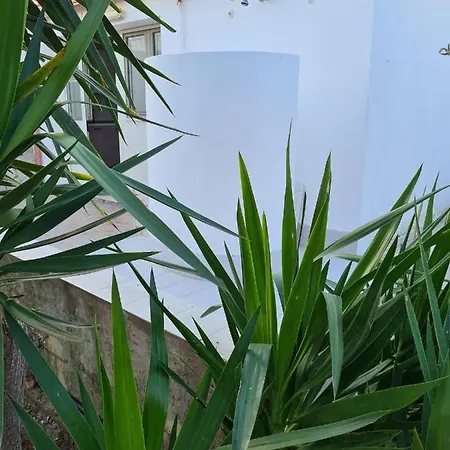 Casa Delfino Azzurro - Noto Marina -