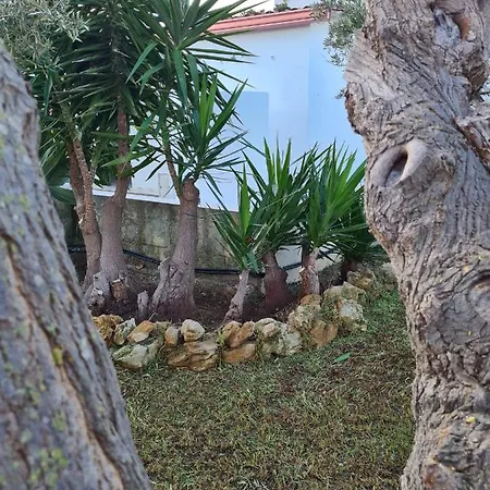Σπίτι διακοπών Casa Delfino Azzurro - Noto Marina - *